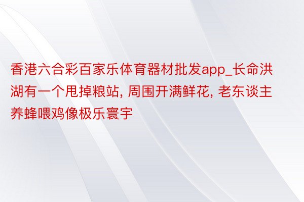 香港六合彩百家乐体育器材批发app_长命洪湖有一个甩掉粮站, 周围开满鲜花, 老东谈主养蜂喂鸡像极乐寰宇