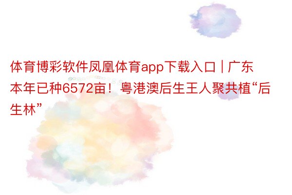体育博彩软件凤凰体育app下载入口 | 广东本年已种6572亩！粤港澳后生王人聚共植“后生林”