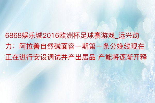 6868娱乐城2016欧洲杯足球赛游戏_远兴动力：阿拉善自然碱面容一期第一条分娩线现在正在进行安设调试并产出居品 产能将逐渐开释