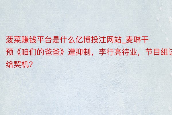 菠菜赚钱平台是什么亿博投注网站_麦琳干预《咱们的爸爸》遭抑制，李行亮待业，节目组该给契机？